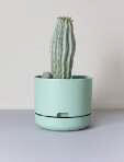 flower pot towb1.jpg