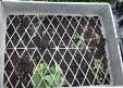 seed tray towb11.jpg