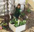 simple wicking bed towb12.jpg