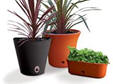 soil finger pot towb13