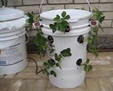vertical bed towb15.jpg