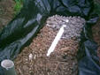 stone bed towb22.jpg