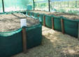 green house towb23b.jpg