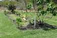large wickin bed towb4.jpg