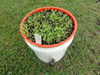 drain tube towb8.jpg